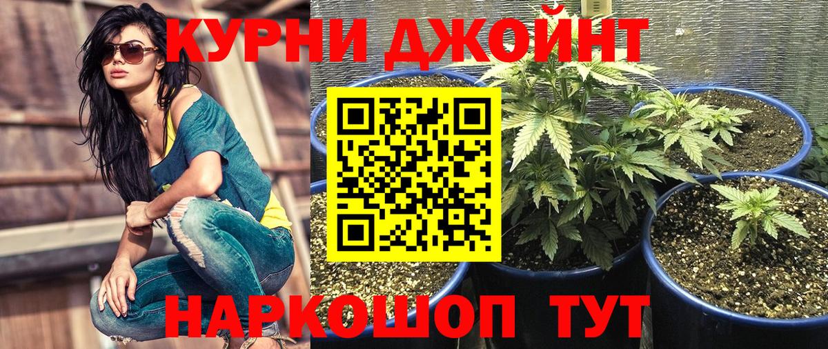 Шишки марихуана сатива  Бошки Шишки индика  Вход с VPN  Щёлково  Шишки марихуана White Widow 
